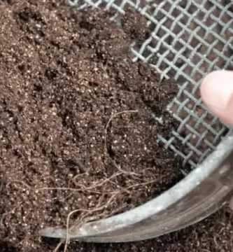 Tamiz granulometrico